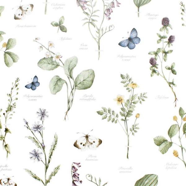 Herbarium tonos morados