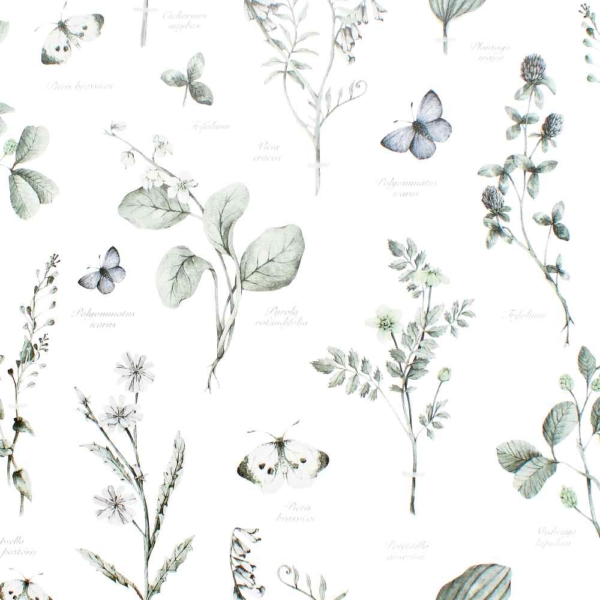 Herbarium tonos verdes
