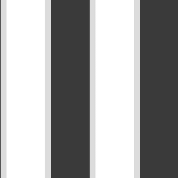Papel Pintado Rayas Vesalles Negro y plateado